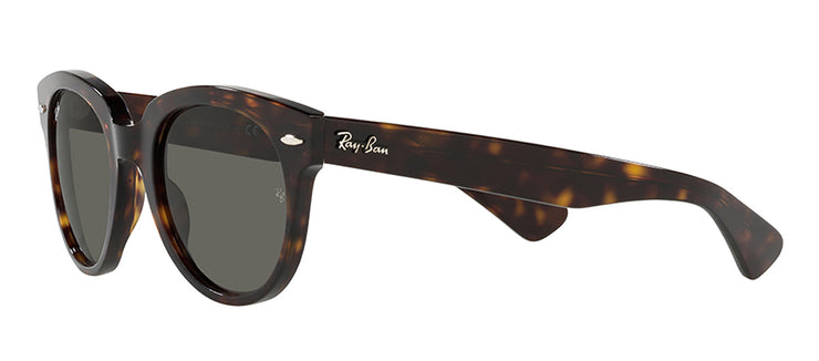 Ray-Ban RB 2199 902/B1 Phantos Plastic Brown Sunglasses with Grey Lens