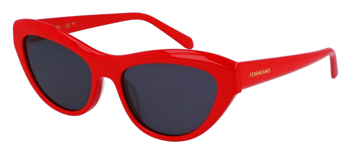 Salvatore Ferragamo SF 1103S Plastic Cat-Eye Sunglasses Ferragamo Cat Eye Sunglasses SF1103S 001 Black 55mm  main image 4