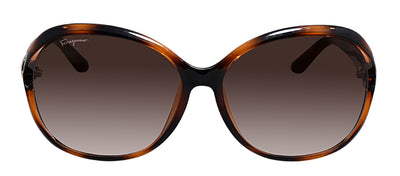 Salvatore Ferragamo SF 770SA 6115214 Round Plastic Tortoise Sunglasses with Brown Gradient Lens