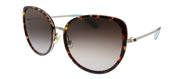Kate Spade KS JENSEN/G/S 086 HA Butterfly Plastic Havana Sunglasses with Brown Gradient Lens