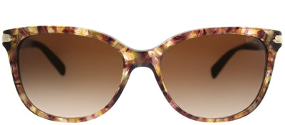 Coach L19 HC 8132 528713 Cat-Eye Plastic Brown Sunglasses with Brown Gradient Lens