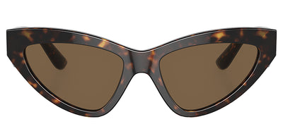 Dolce & Gabbana DG 4439 502/73 Cat Eye Acetate Brown Sunglasses with Brown Lens