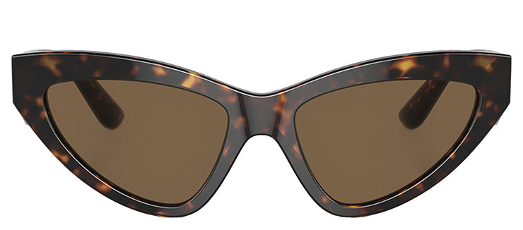 Dolce & Gabbana DG 4439 502/73 Cat Eye Acetate Brown Sunglasses with Brown Lens