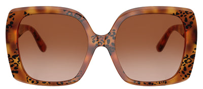 DOLCE & GABBANA DG 4475 338013 Square Havana Leo Acetate Sunglasses with Brown Gradient Lens