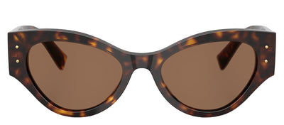 DOLCE & GABBANA DG 4480 502/73 Butterfly Havana Acetate Sunglasses with Dark Brown Lens