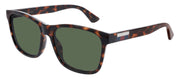 Gucci GG 0746S 003 Square Plastic Havana Sunglasses with Green Lens