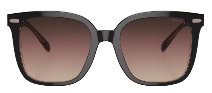 Coach HC 8381U 5.78E+05 Square Plastic Black Sunglasses with Purple Gradient Lens