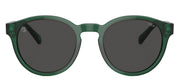 Ralph Lauren PH 4192 608487 Round Plastic Green Sunglasses with Grey Lens