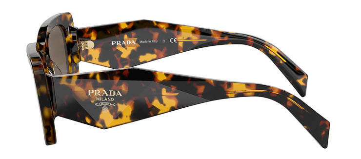 Prada PR 08YS 01V8C1 Butterfly Plastic Havana Sunglasses with Brown Lens