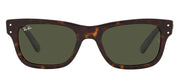 Ray-Ban RB 2283F 902/31 Rectangle Plastic Havana Sunglasses with Green Lens