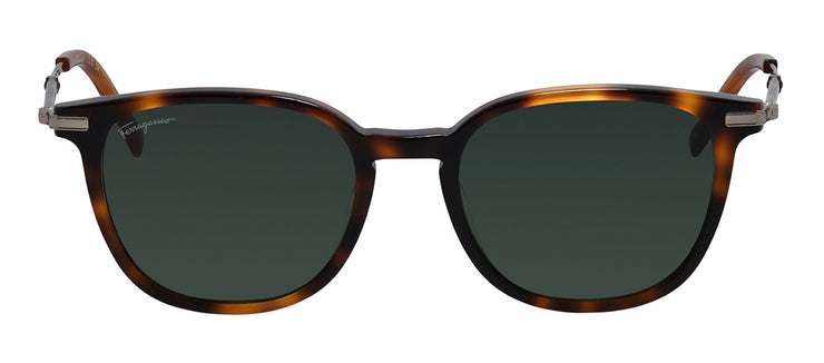 Salvatore Ferragamo SF 1015S 214 Square Acetate Tortoise Sunglasses with Green Classic Lens