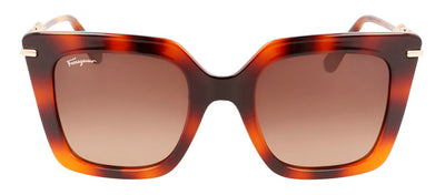 Salvatore Ferragamo SF 1041S 238 Square Plastic Havana Sunglasses with Brown Lens