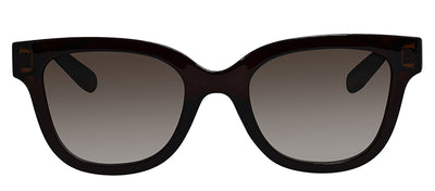Salvatore Ferragamo SF 1066S 210 Rectangle Plastic Crystal Brown Sunglasses with Grey Lens