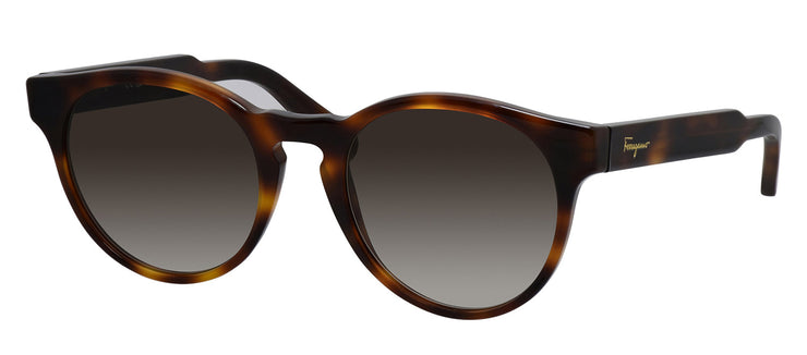 Salvatore Ferragamo SF 1068S 240 Round Plastic Tortoise Sunglasses with Brown Gradient Lens