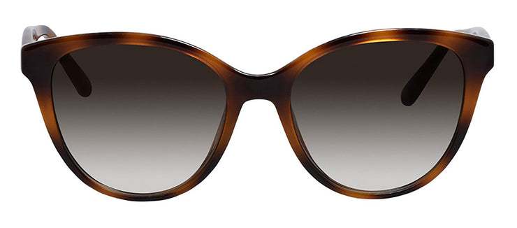 Salvatore Ferragamo SF 1073S 240 Butterfly Plastic Tortoise Sunglasses with Grey Gradient Lens