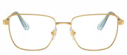Swarovski SK 1003 4021 Rectangle Metal Gold Eyeglasses with Logo Stamped Demo Lenses