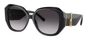 Tiffany & Co. TF 4207B 80113C Butterfly Plastic Black Sunglasses with Grey Gradient Lens