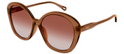 Chloe CH 0081S 002 Butterfly Plastic Brown Sunglasses with Orange Gradient Lens