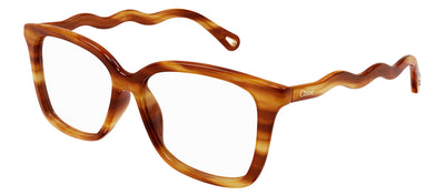 Chloe CH 0090O 006 Rectangle Plastic Havana Eyeglasses with Logo Stamped Demo Lenses