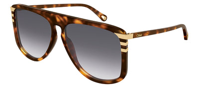 Chloe CH 0104S 007 Flat-top Plastic Havana Sunglasses with Grey Gradient Lens