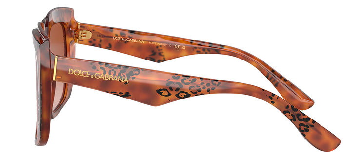Dolce & Gabbana DG 4414 338013 Square Plastic Havana Sunglasses with Brown Gradient Lens