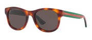 Gucci GG 0003SN 003 Square Plastic Havana Sunglasses with Grey Lens