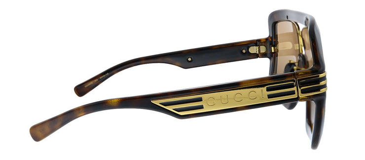 Gucci GG 0900S 002 Oversized Acetate Havana Sunglasses with Brown Lens