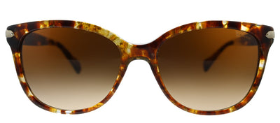 Coach L109 HC 8132 563174 Cat-Eye Plastic Havana Sunglasses with Brown Gradient Lens