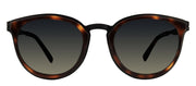 Modo MODO 453 TORT Rectangle Plastic Tortoise Sunglasses with Grey Gradient Lens