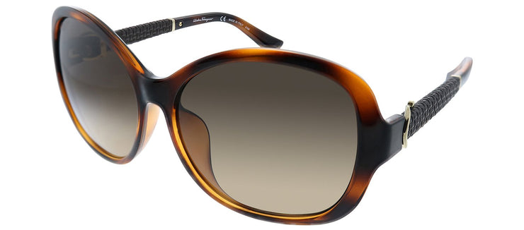 Salvatore Ferragamo SF 744SLA 214 Butterfly Plastic Tortoise Sunglasses with Brown Gradient Lens
