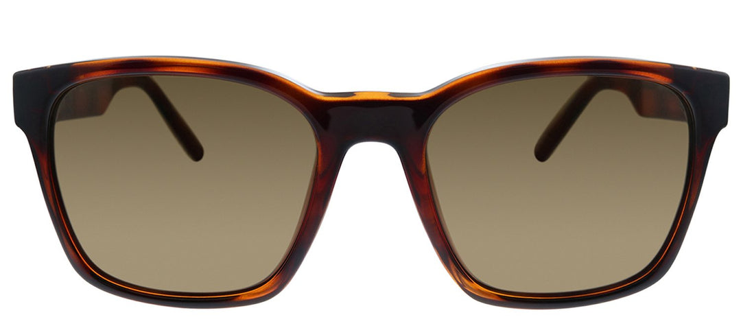 Salvatore Ferragamo SF 959S 214 , Buy Online at Gaffos.com display picture 3
