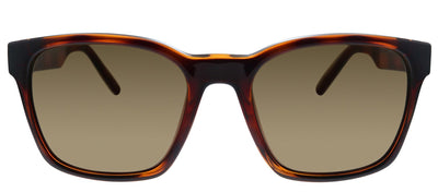 Salvatore Ferragamo SF 959S 214 Square Plastic Tortoise Sunglasses with Brown Lens