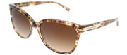 Coach HC 8132 528713 Cat-Eye Plastic Brown Sunglasses with Brown Gradient Lens